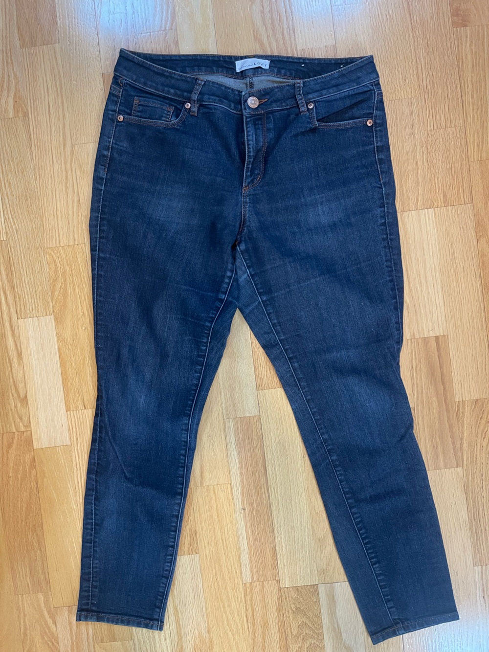 LOFT Indigo Skinny Jeans